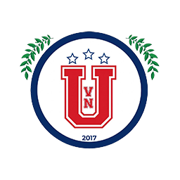 Escudo de Club Social y Deportivo Villa Nelly Unido