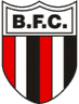 Escudo de Botafogo Futebol Clube